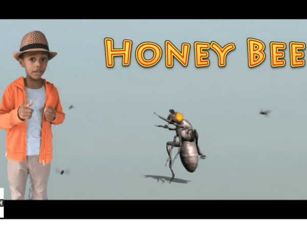 The Youth Giving us Hope and a Reason to Smile