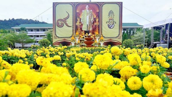 WATCH IFMA WORLD CHAMPIONSHIPS 2021 LIVE