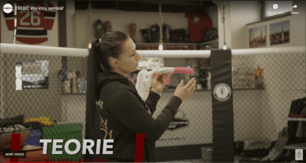Wai khru intructors_seminar in Czech Republic - 1