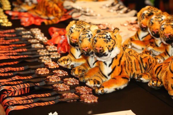 Day 9: Final Gold Medal Day at the IFMA Youth World Championships 2022